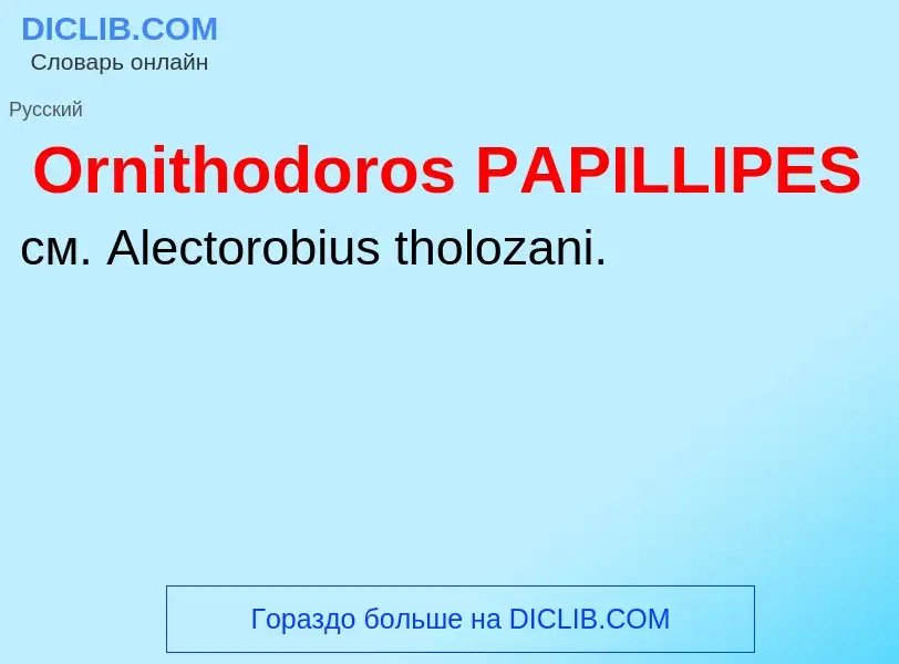 Wat is Ornithodoros PAPILLIPES - definition