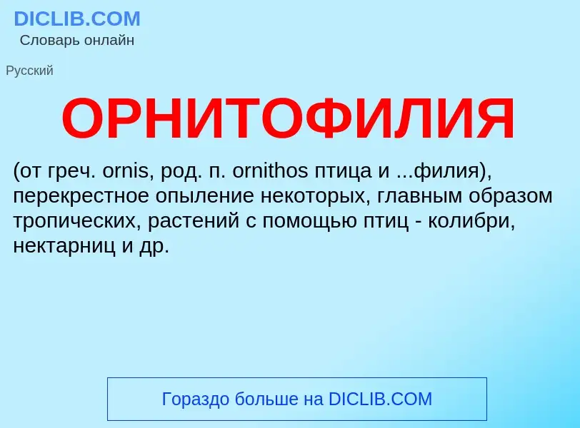 Что такое ОРНИТОФИЛИЯ - определение