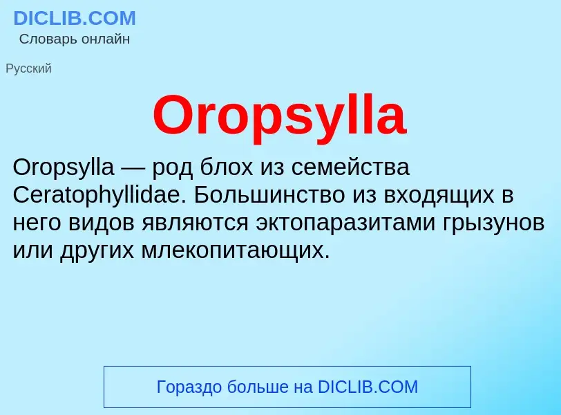 ¿Qué es Oropsylla? - significado y definición