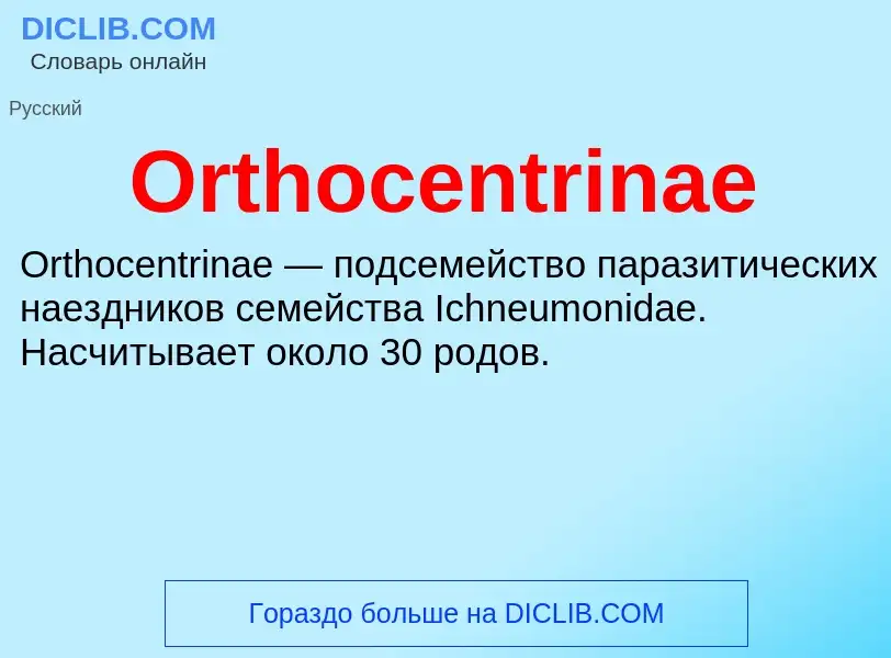 Τι είναι Orthocentrinae - ορισμός