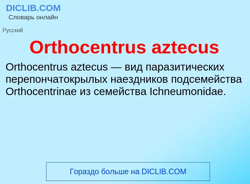 Τι είναι Orthocentrus aztecus - ορισμός