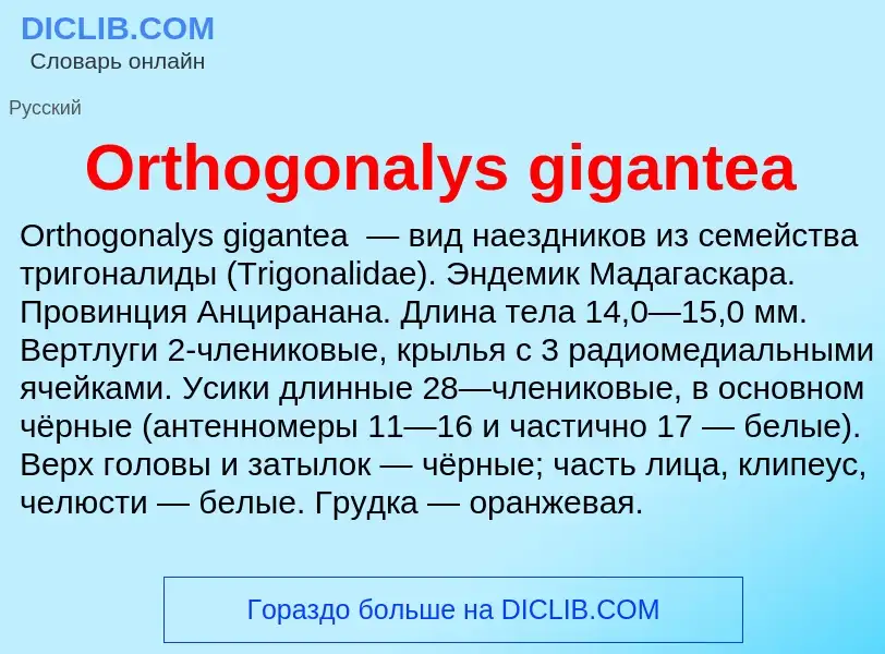 Τι είναι Orthogonalys gigantea - ορισμός