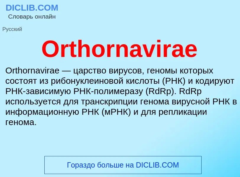 Was ist Orthornavirae - Definition