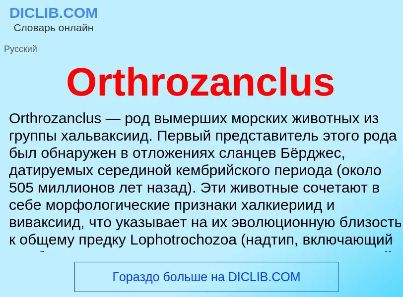 ¿Qué es Orthrozanclus? - significado y definición