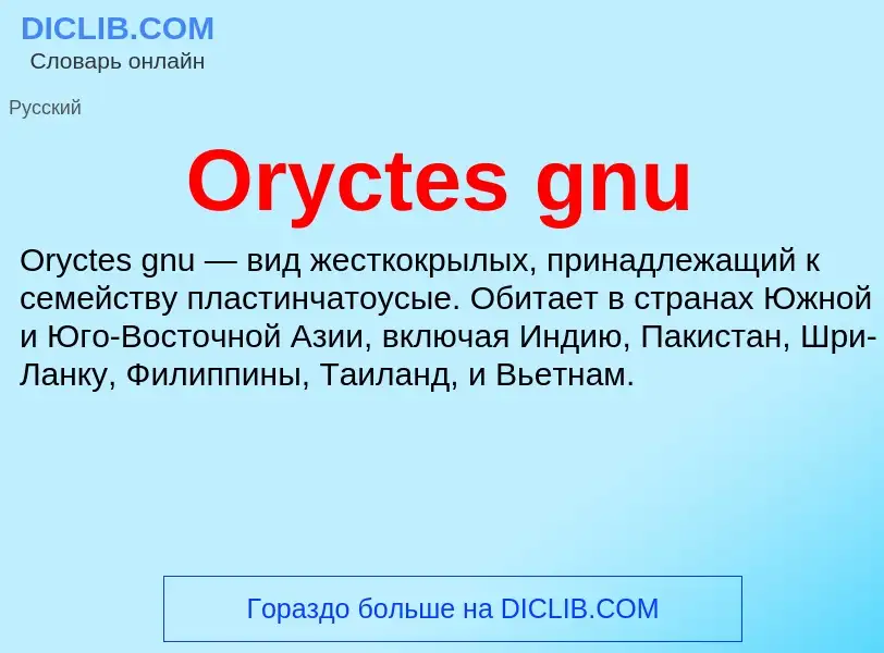 ¿Qué es Oryctes gnu? - significado y definición