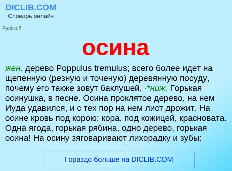 O que é осина - definição, significado, conceito