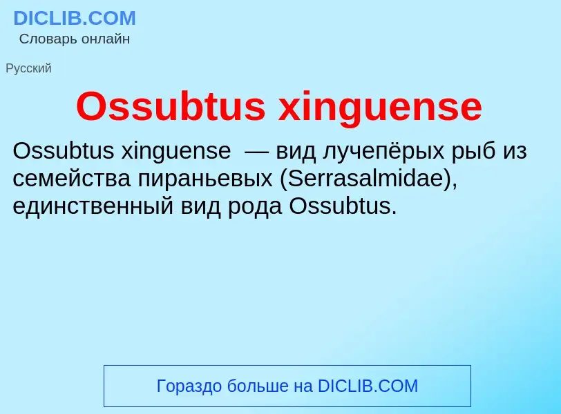 Τι είναι Ossubtus xinguense - ορισμός