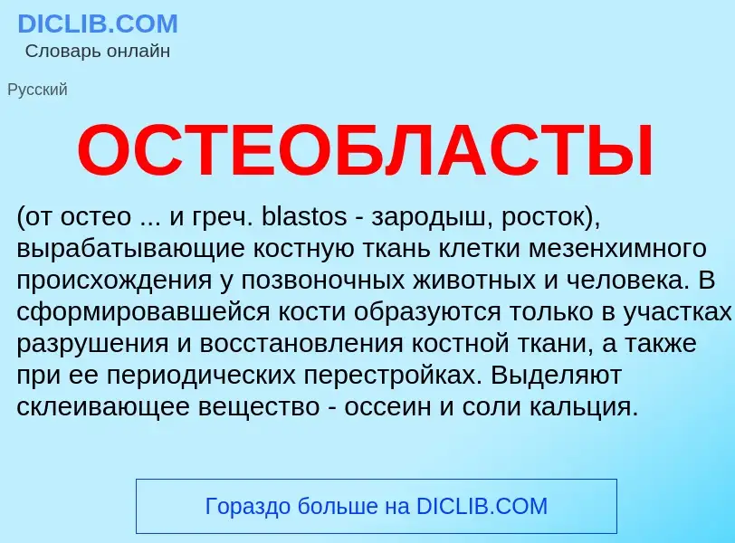 Что такое ОСТЕОБЛАСТЫ - определение