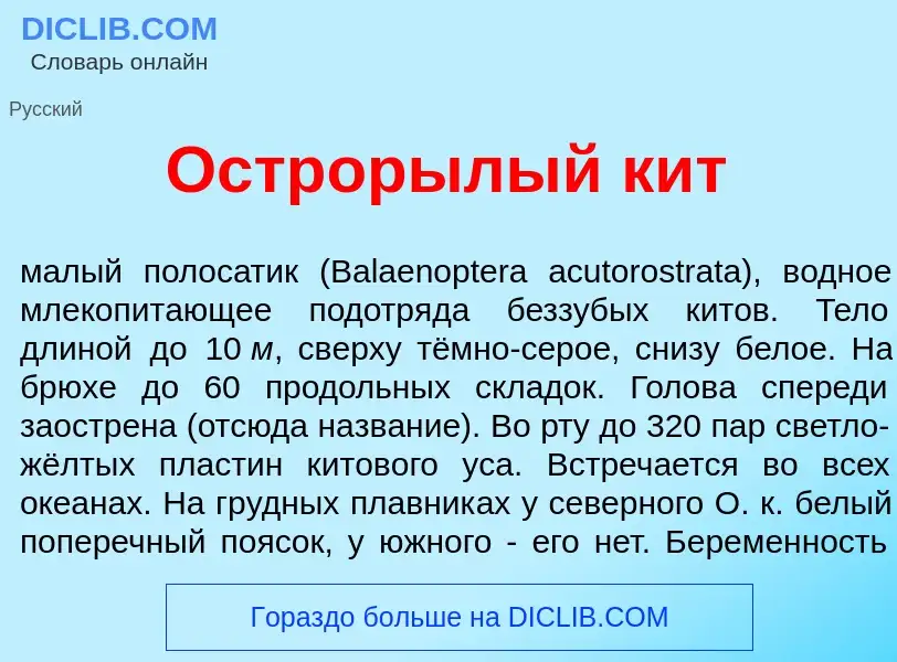 Τι είναι Острор<font color="red">ы</font>лый кит - ορισμός