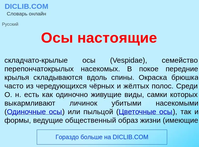 Что такое <font color="red">О</font>сы насто<font color="red">я</font>щие - определение