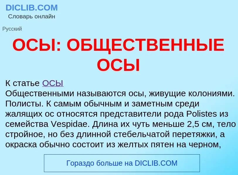 Что такое ОСЫ: ОБЩЕСТВЕННЫЕ ОСЫ - определение