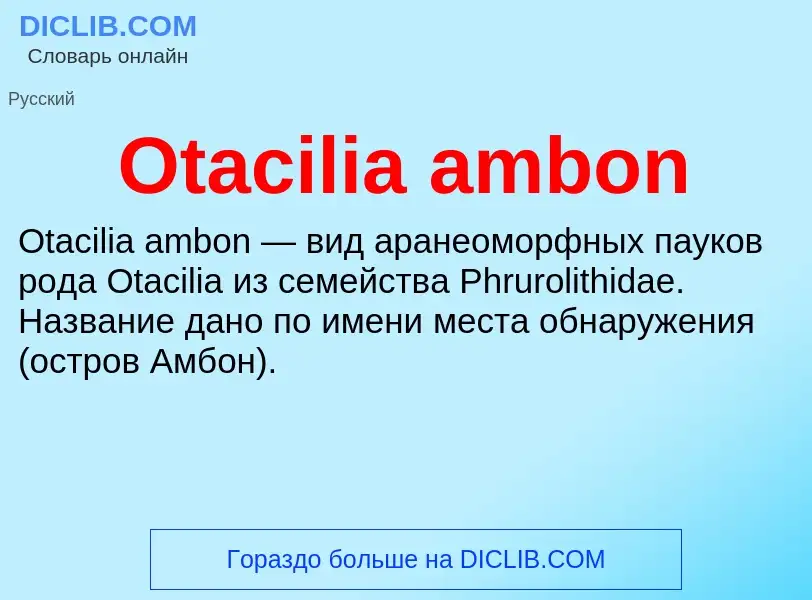 Wat is Otacilia ambon - definition