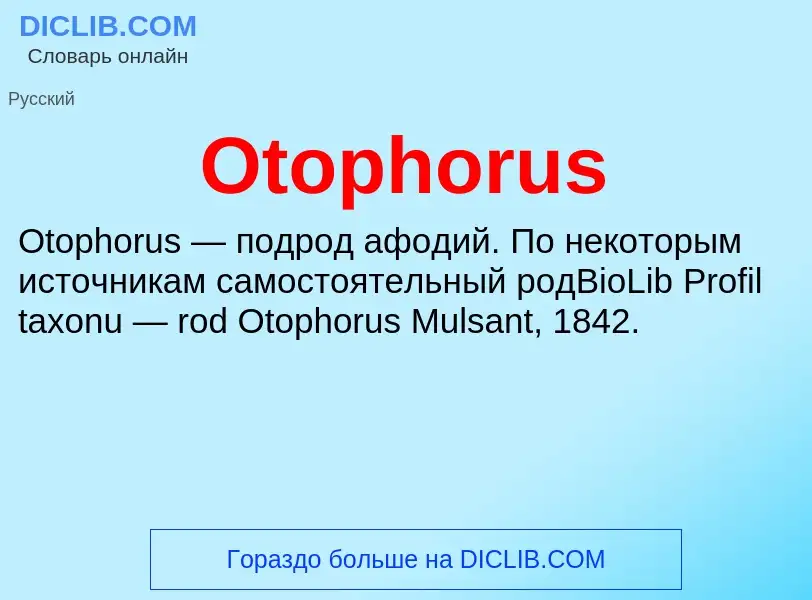 Wat is Otophorus - definition