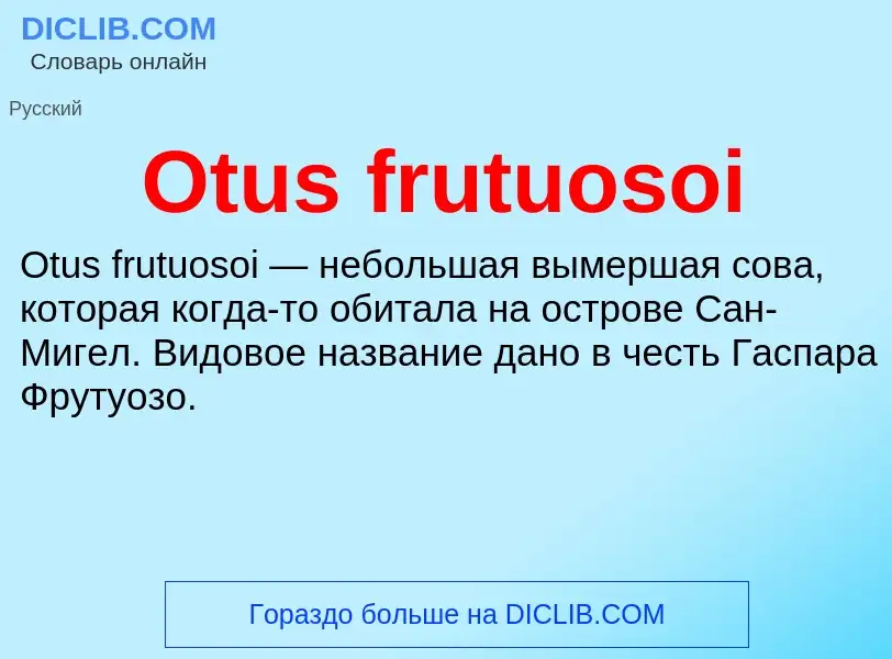 Wat is Otus frutuosoi - definition