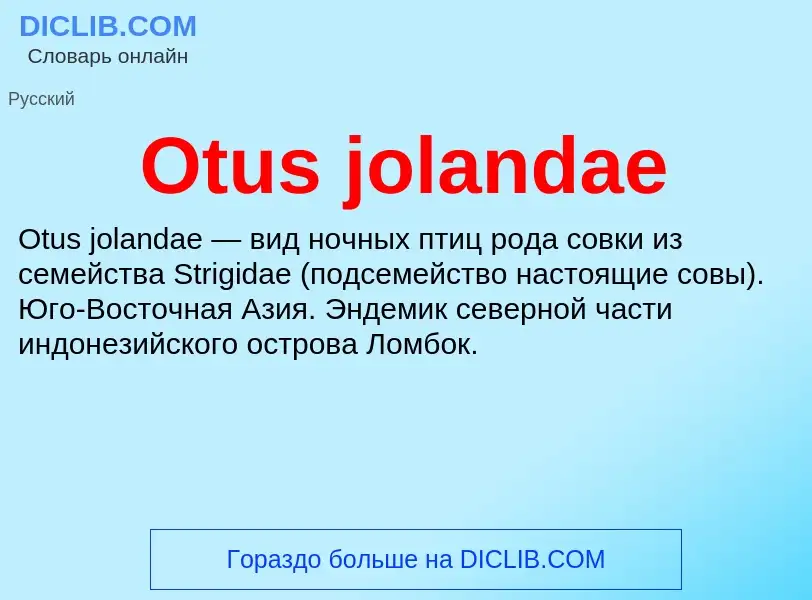 Wat is Otus jolandae - definition