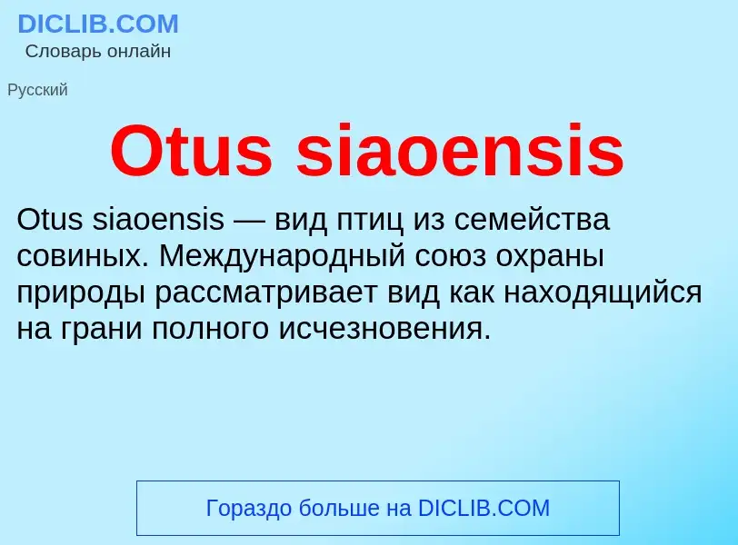 Wat is Otus siaoensis - definition