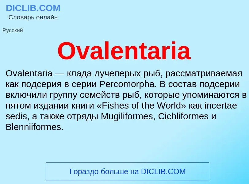 Wat is Ovalentaria - definition