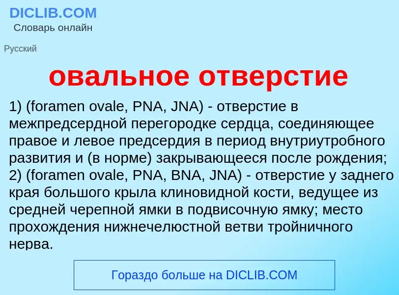 O que é овальное отверстие - definição, significado, conceito