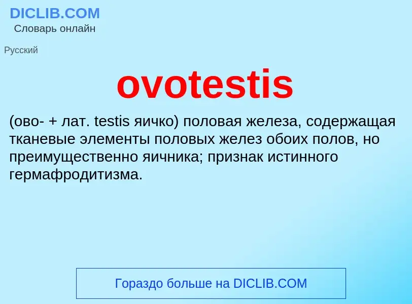 Wat is ovotestis  - definition