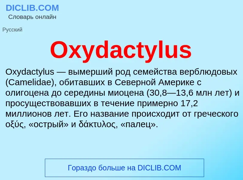 Wat is Oxydactylus - definition