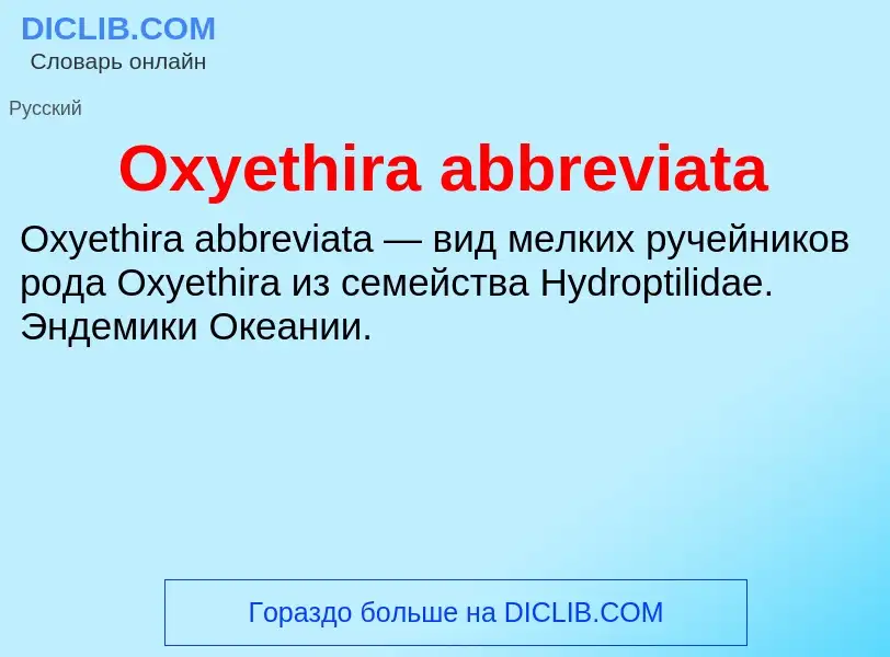 Was ist Oxyethira abbreviata - Definition