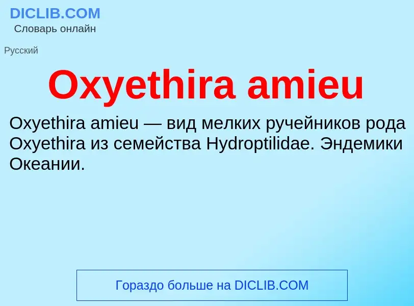 Wat is Oxyethira amieu - definition