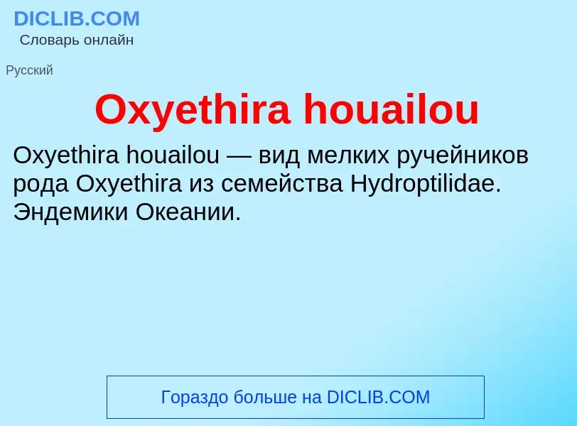 Wat is Oxyethira houailou - definition