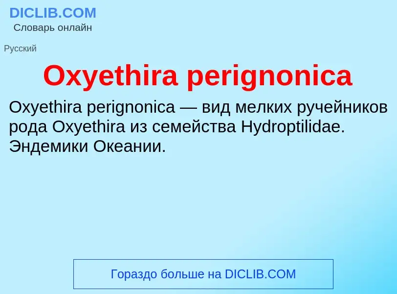 Wat is Oxyethira perignonica - definition