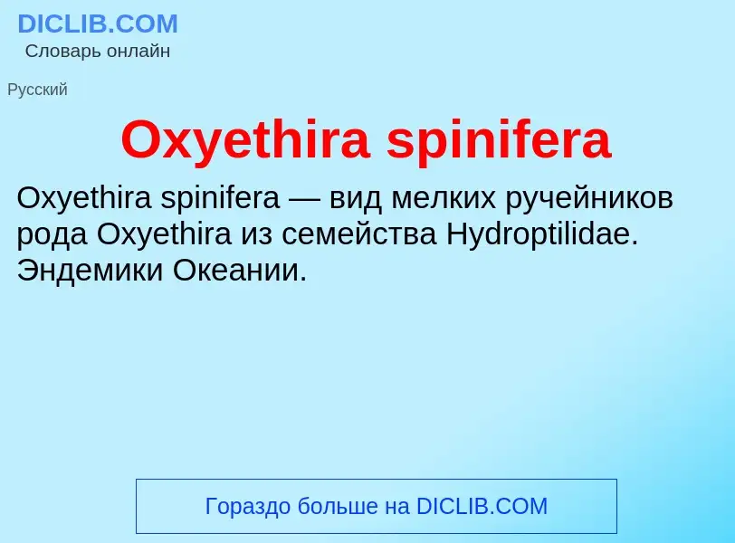 Che cos'è Oxyethira spinifera - definizione