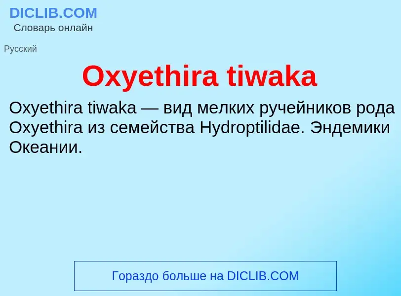 Что такое Oxyethira tiwaka - определение