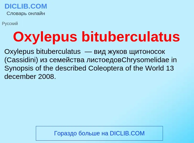 Wat is Oxylepus bituberculatus - definition