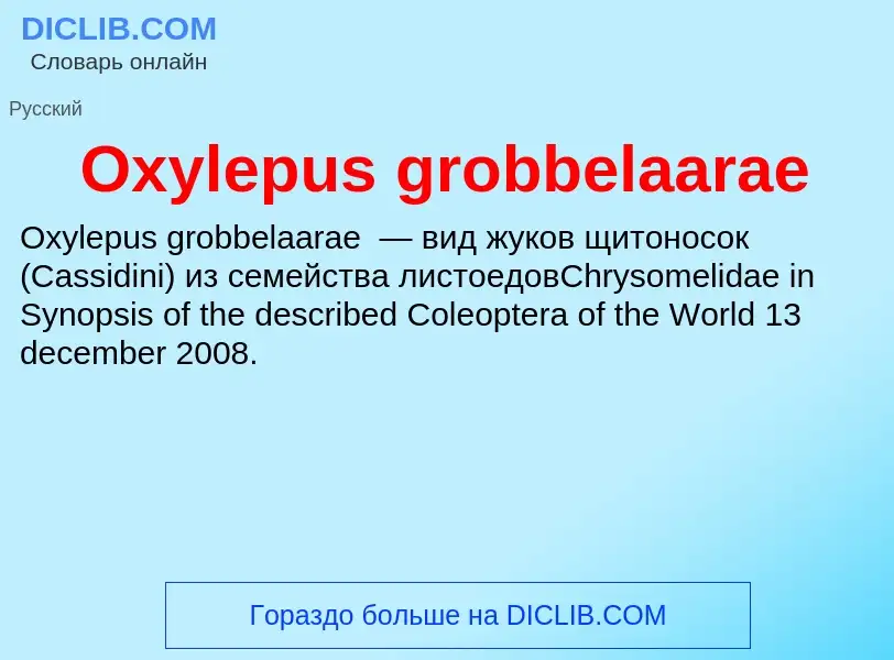 Wat is Oxylepus grobbelaarae - definition