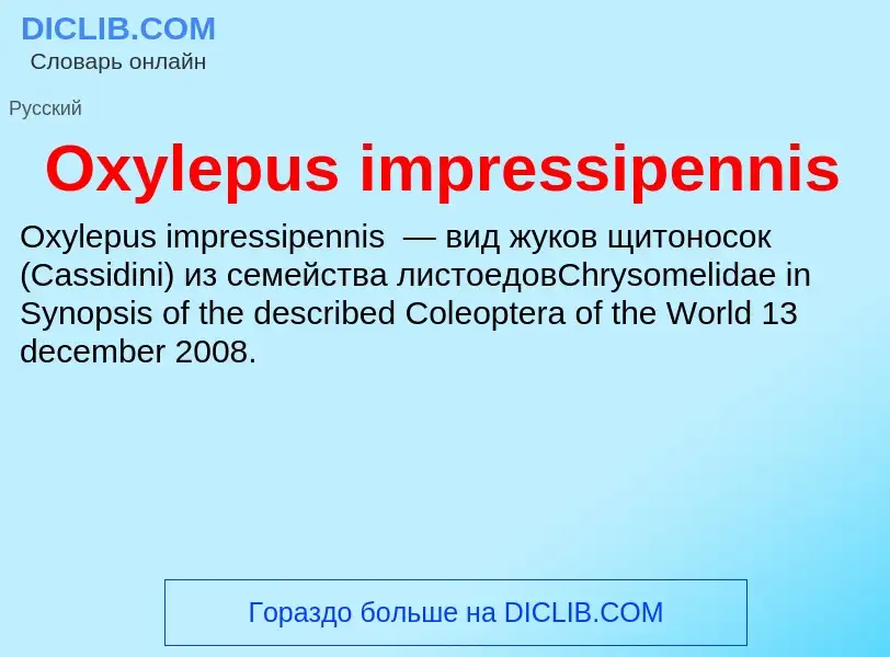 Wat is Oxylepus impressipennis - definition