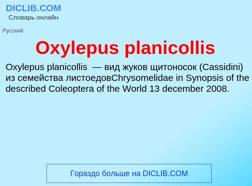 Что такое Oxylepus planicollis - определение