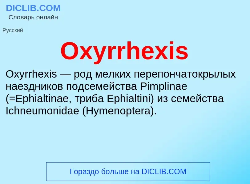 Что такое Oxyrrhexis - определение