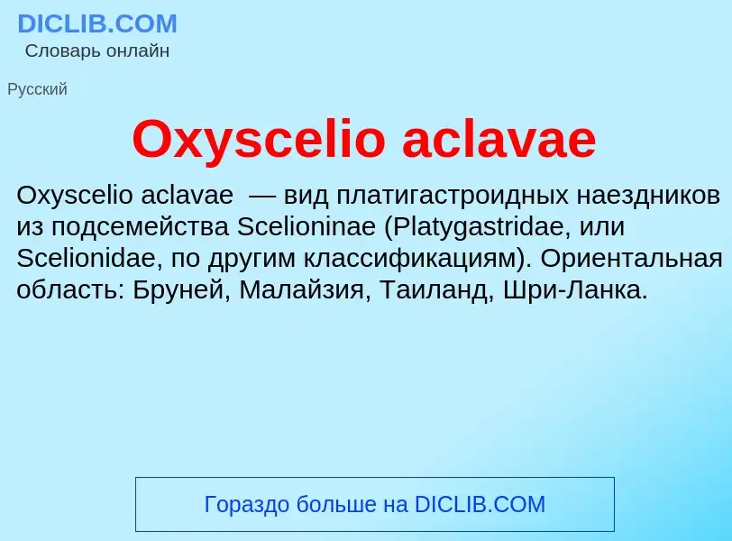 Что такое Oxyscelio aclavae - определение