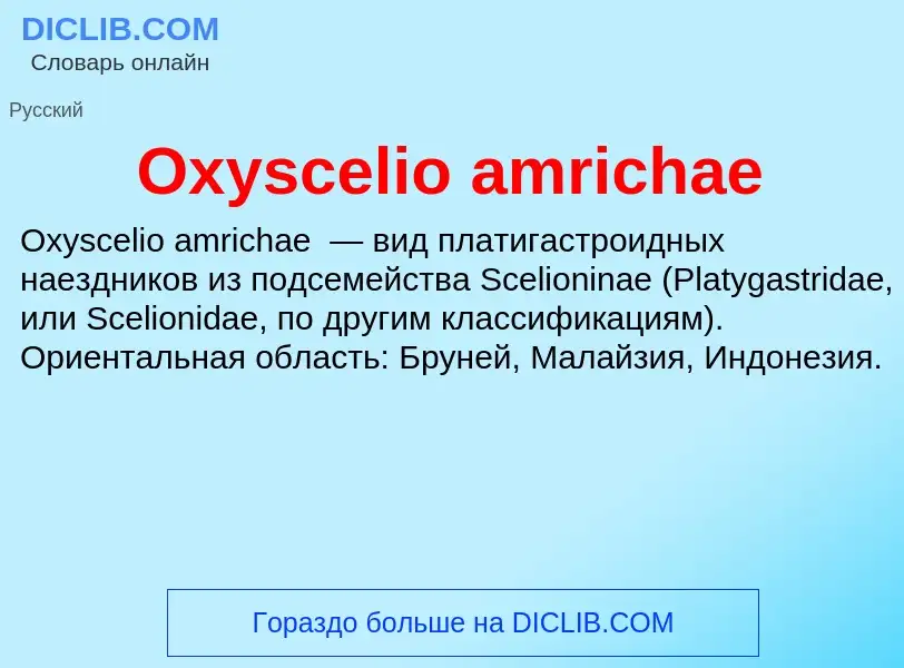 Что такое Oxyscelio amrichae - определение