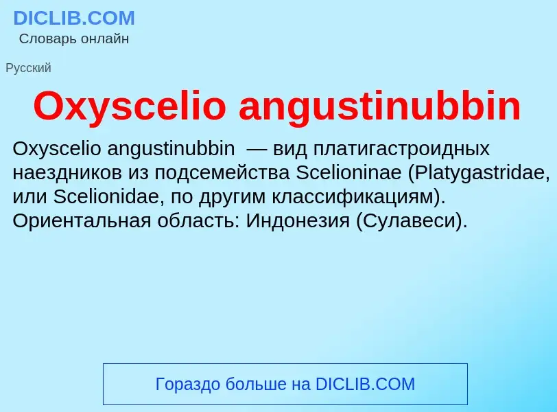 Che cos'è Oxyscelio angustinubbin - definizione