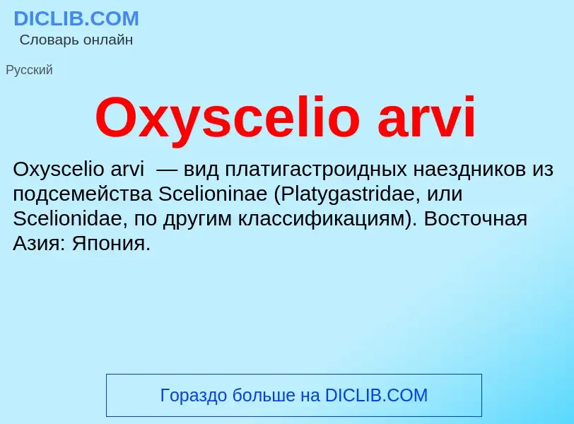 Что такое Oxyscelio arvi - определение