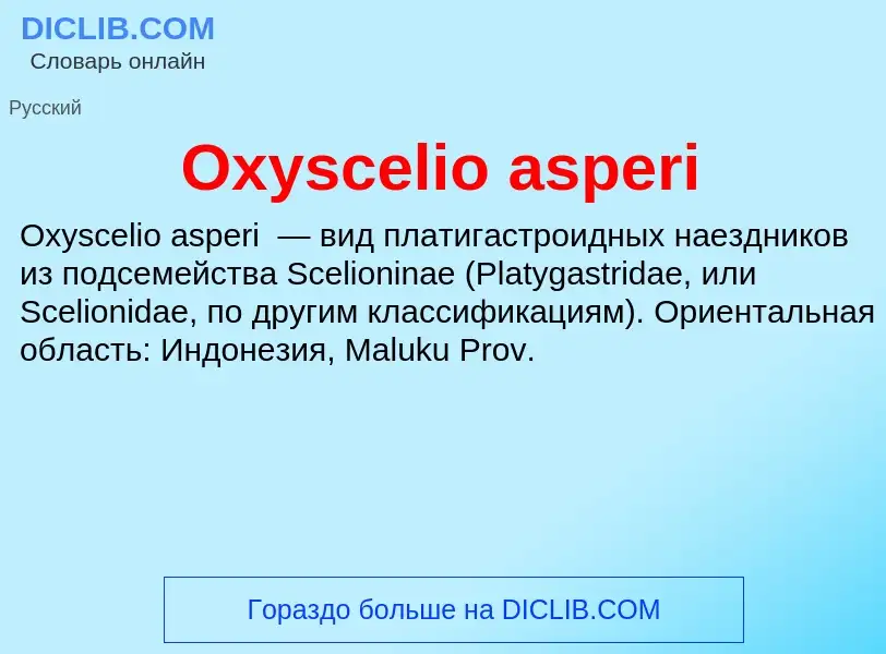 ¿Qué es Oxyscelio asperi? - significado y definición