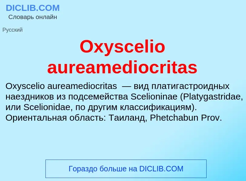 Wat is Oxyscelio aureamediocritas - definition