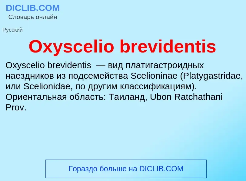 Wat is Oxyscelio brevidentis - definition