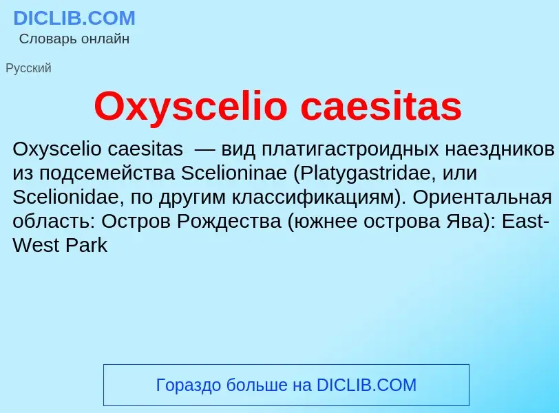 Wat is Oxyscelio caesitas - definition