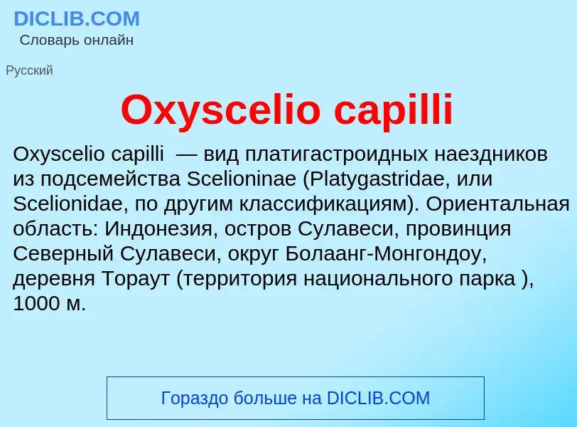 Wat is Oxyscelio capilli - definition