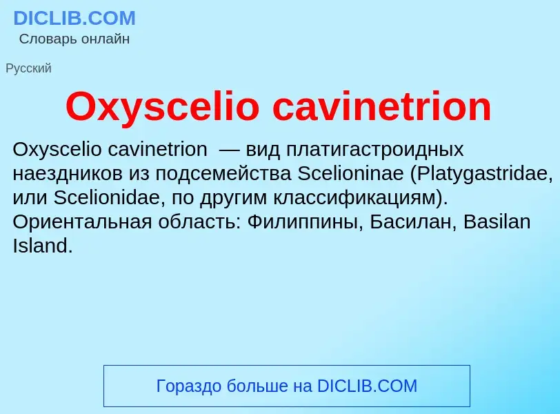 Wat is Oxyscelio cavinetrion - definition