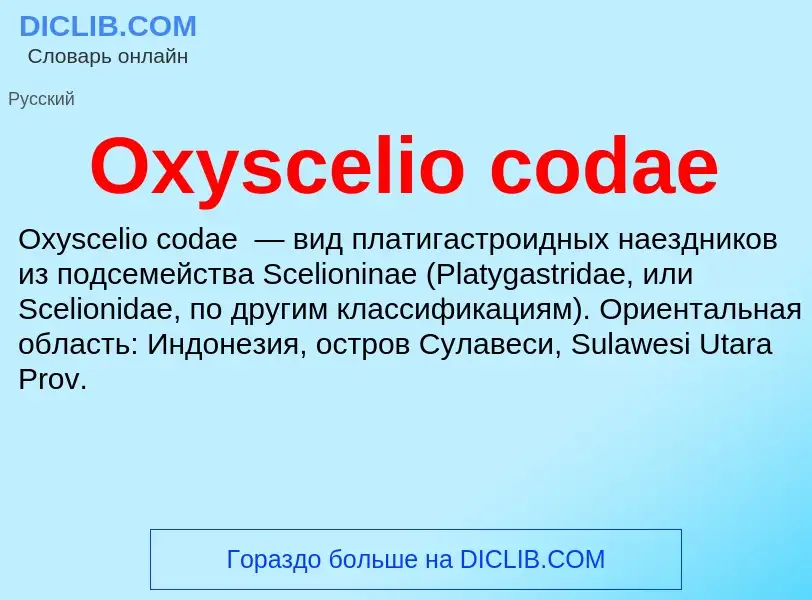 Что такое Oxyscelio codae - определение