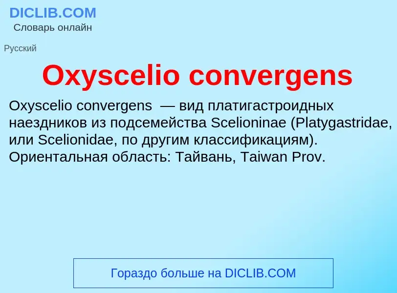 Что такое Oxyscelio convergens - определение