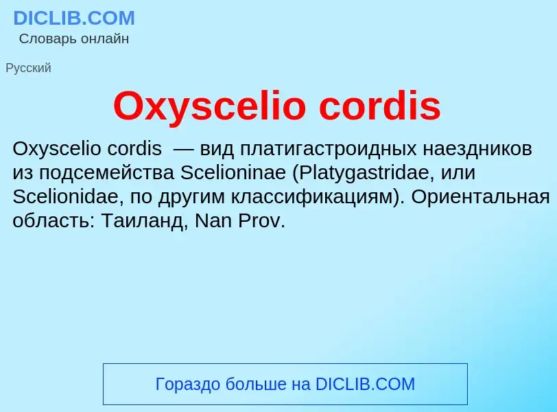 Che cos'è Oxyscelio cordis - definizione