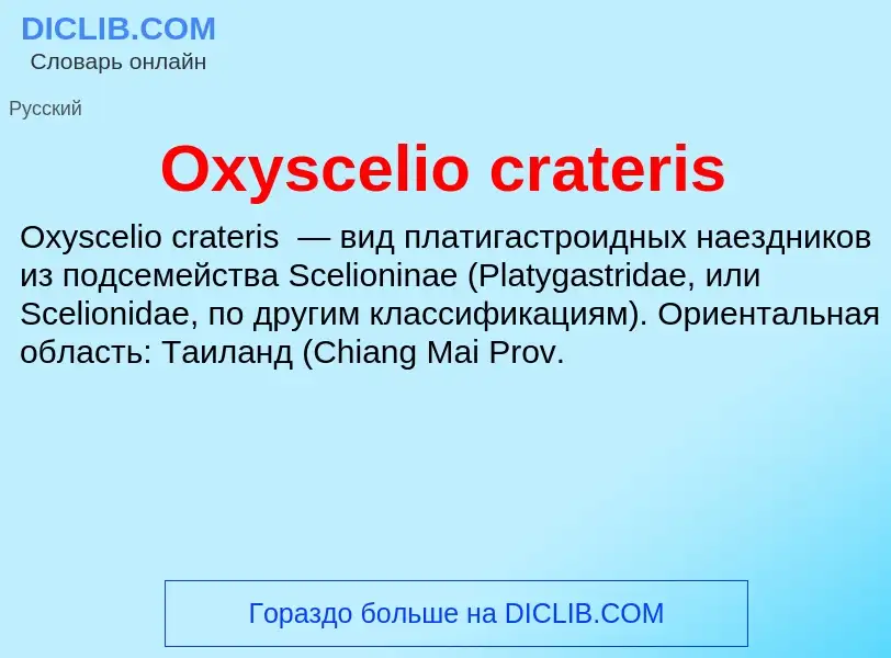 Τι είναι Oxyscelio crateris - ορισμός