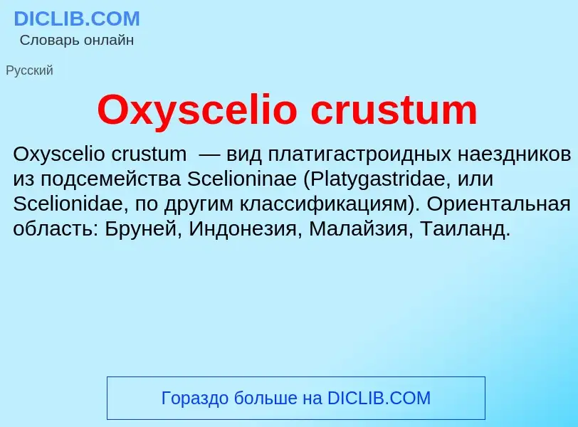 Wat is Oxyscelio crustum - definition